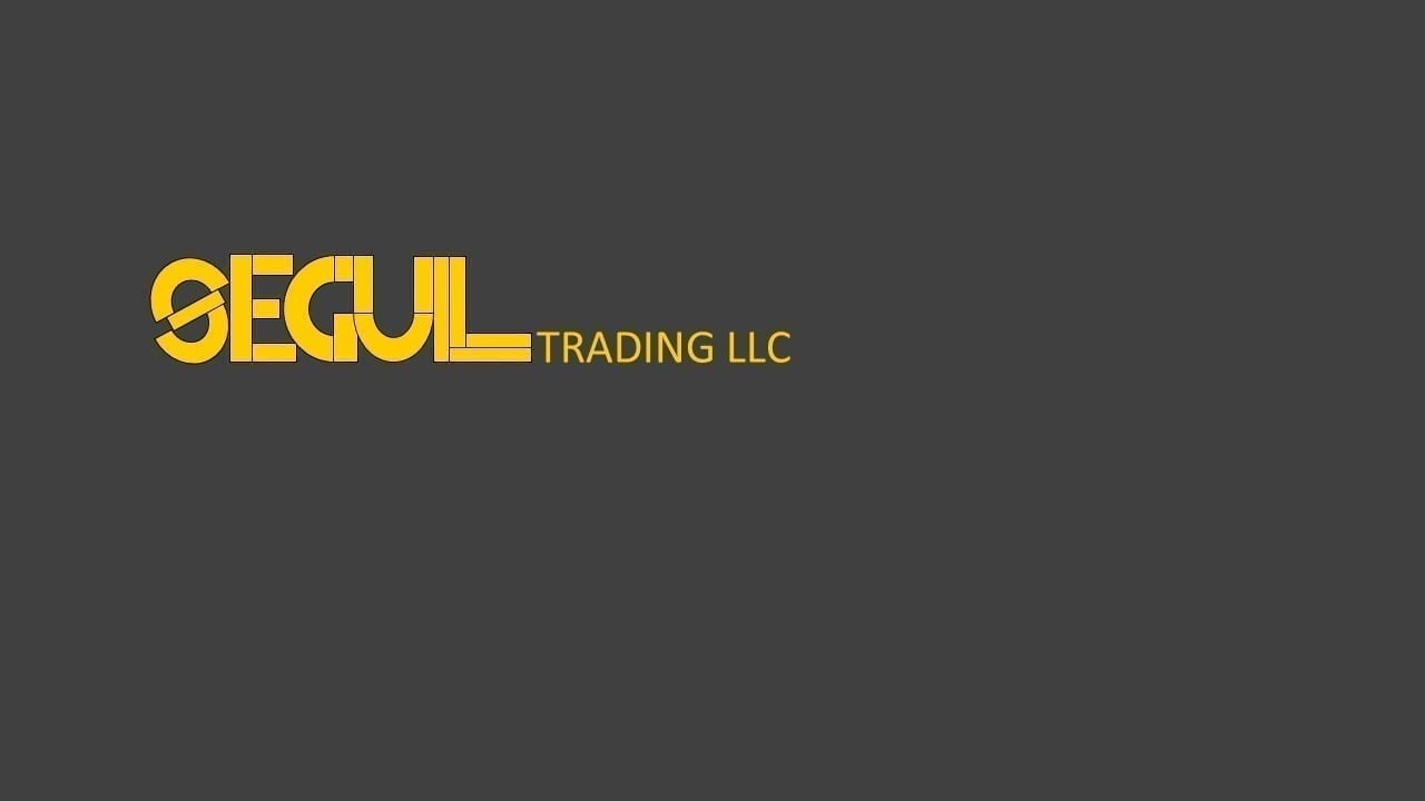 Segull Trading LLC