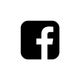 Flash icon