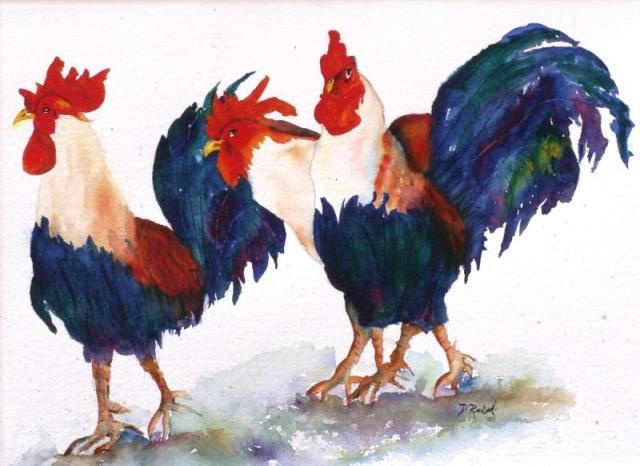 3-Roosters