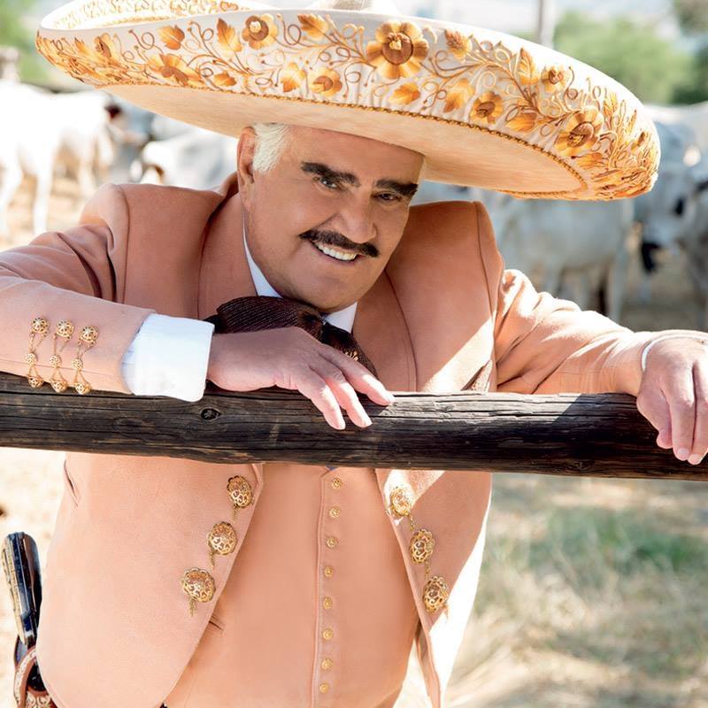 VICENTE FERNÁNDEZ BIOGRAFÍA