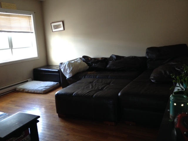 205 Charlotte West #3 Living Room