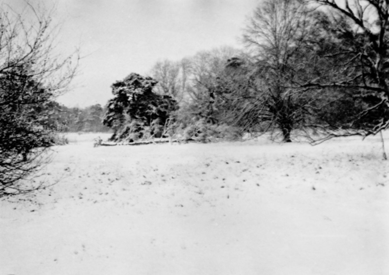 Snow in Cavenham Park January 1945