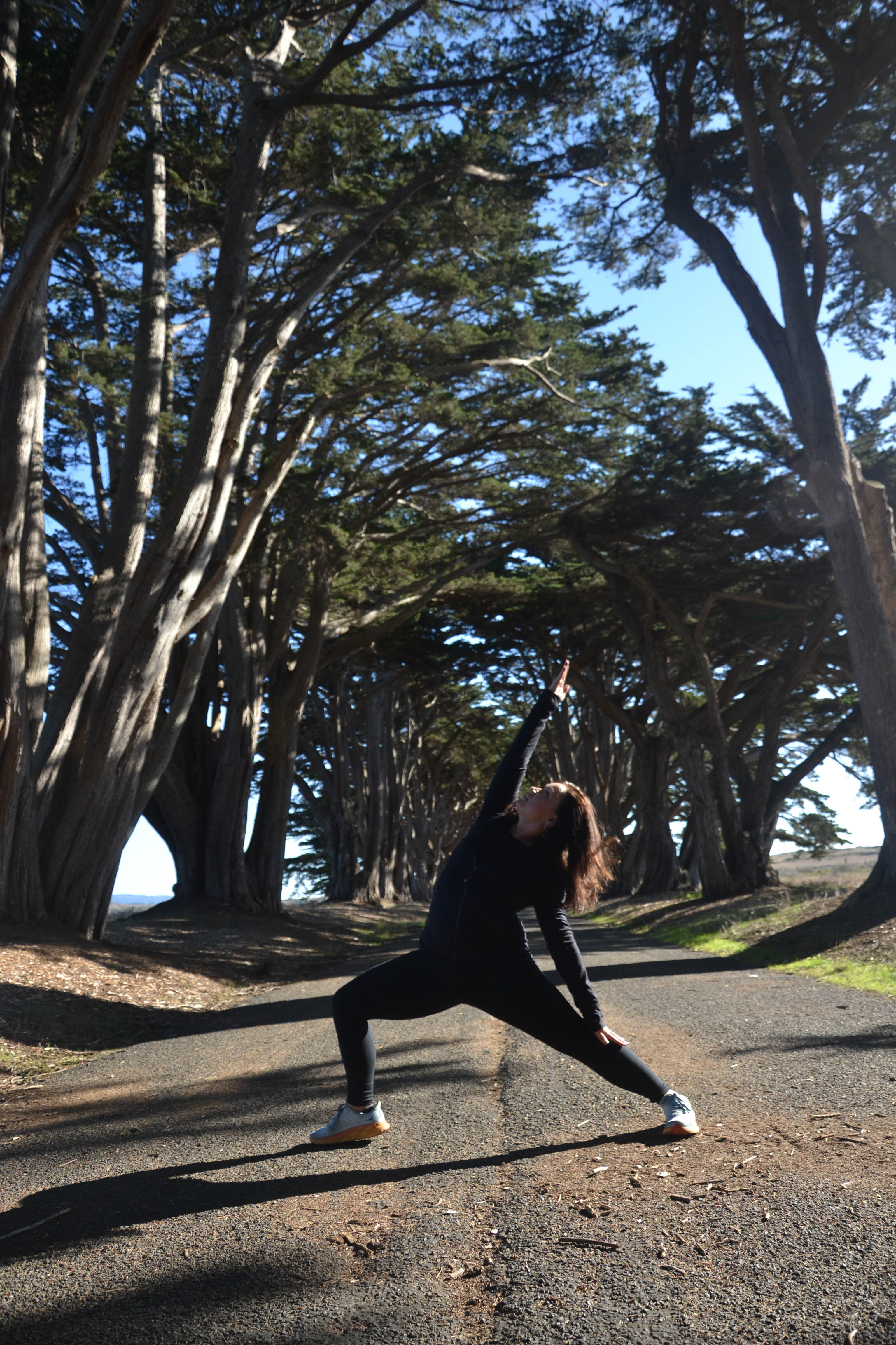 https://0201.nccdn.net/1_2/000/000/190/10c/san-fran-order-2-116.jpg