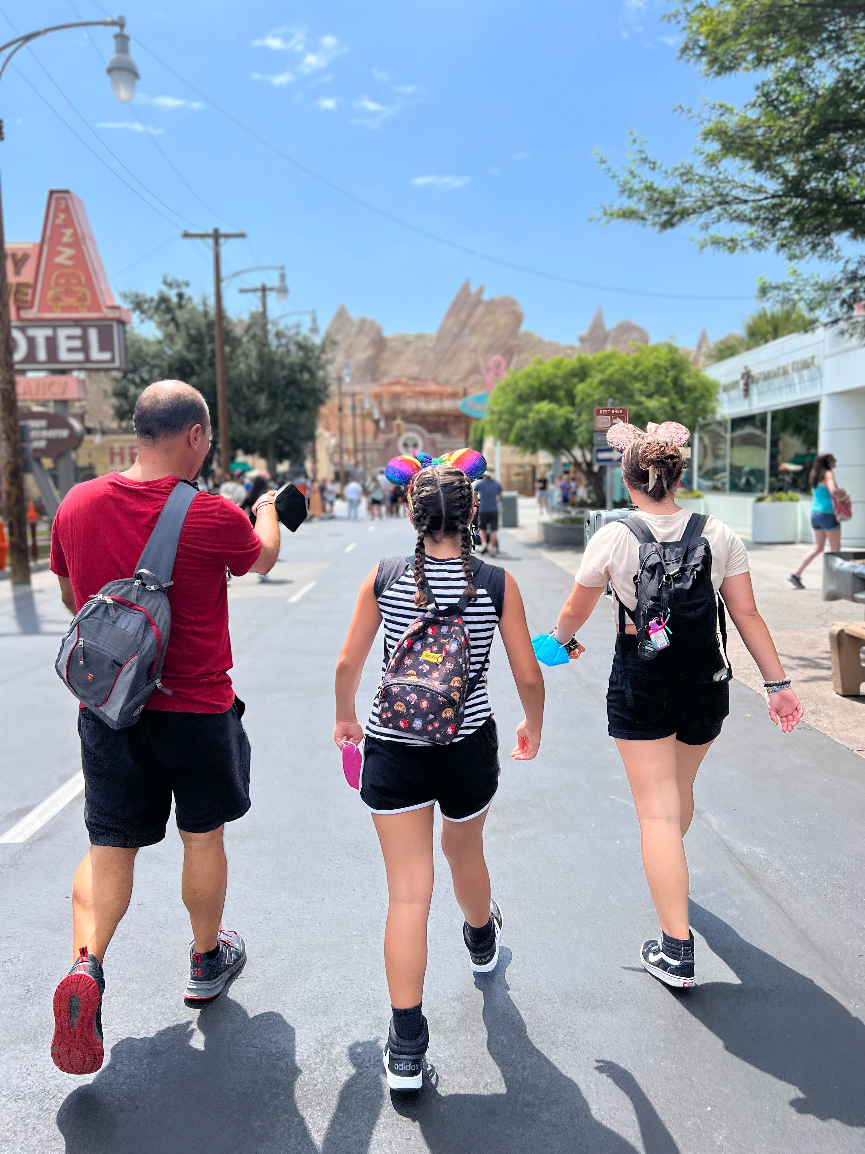https://0201.nccdn.net/1_2/000/000/190/2f2/tempe-disney-order-22.jpg
