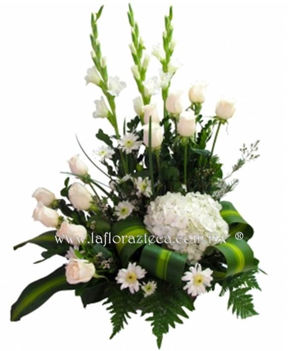 LFA-W009 Diseño Media Luna
Precio $1,445