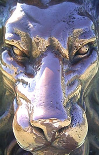 Metal Powders USA