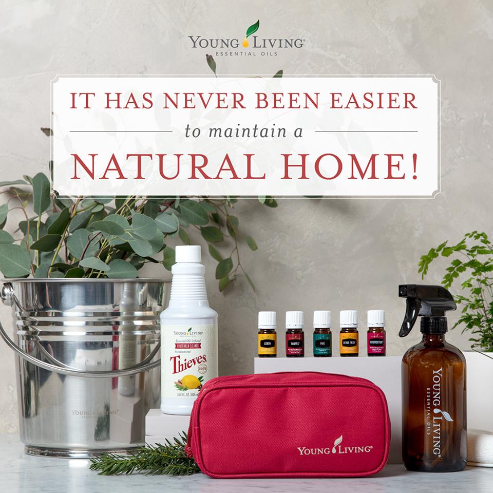 non-toxic cleaning products