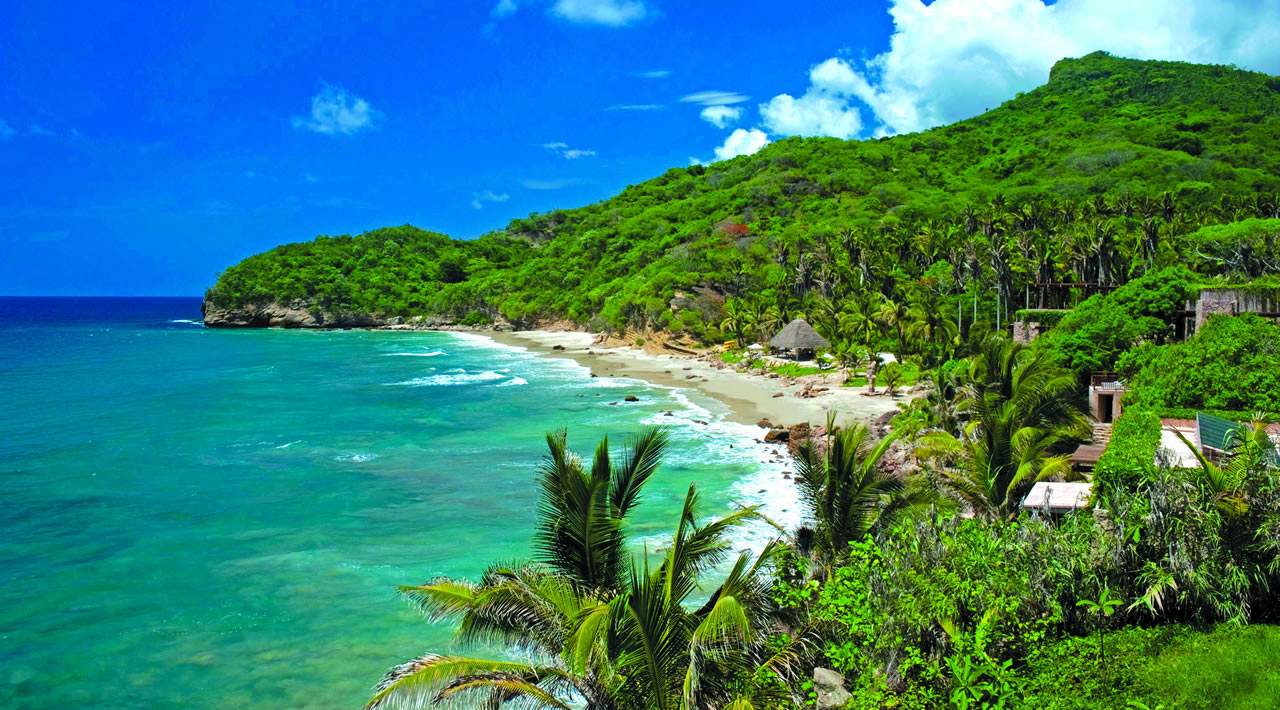 Sala de estar moderna con sofá blanco, mesas de centro de madera, plantas en macetas y grandes ventanales.
