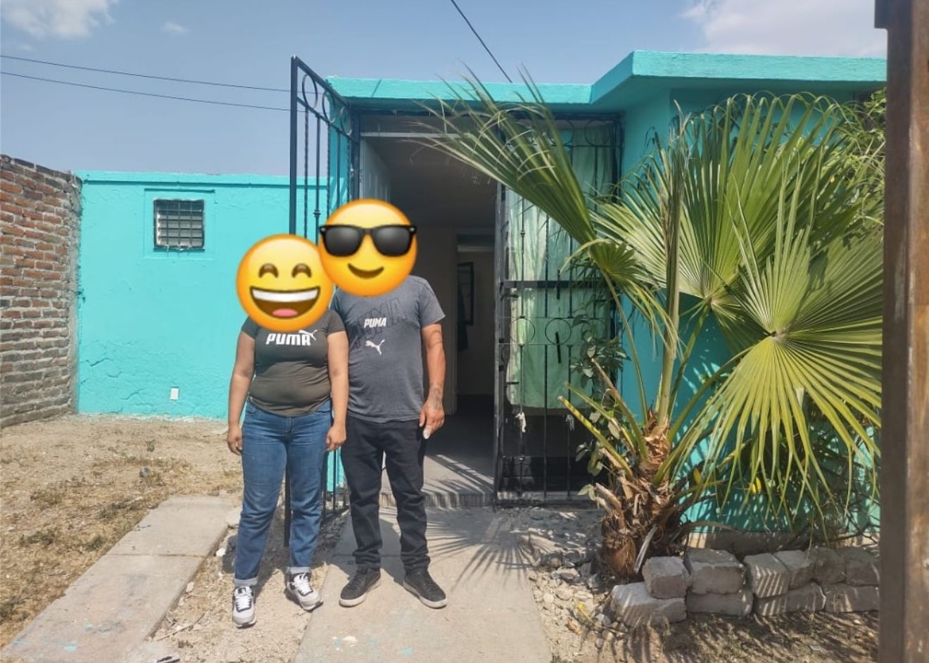 Sala de estar moderna con sofá gris, plantas verdes y ventanas grandes que muestran una vista urbana.