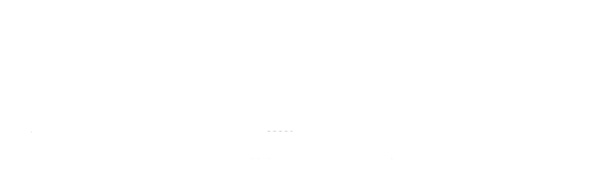 Iron Elegance Security Doors