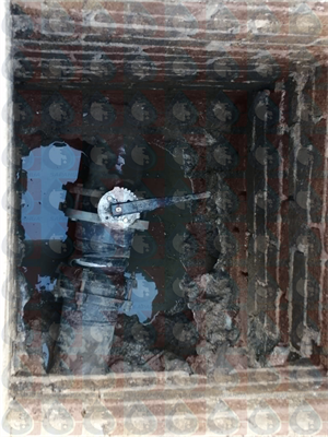 Reemplazo de bomba y válvula chek del pozo de "San Diego"