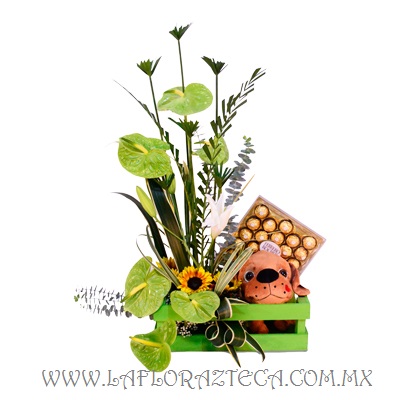 LFA-DA008
Precio $1,260