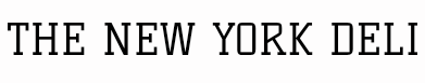 NEW YORK DELI Logo