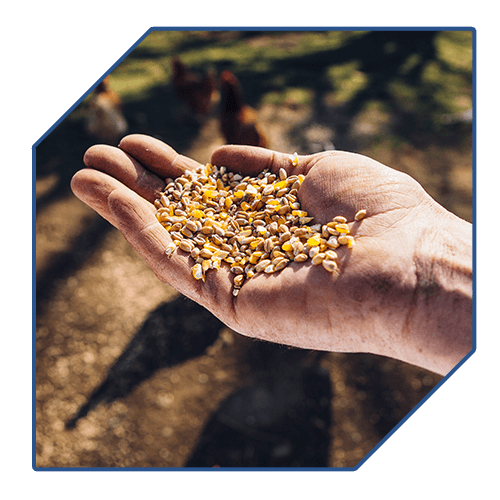 DIPROVET - Alimentos veterinarios