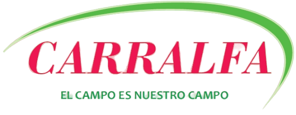 Ir a la página de inicio del sitio CARRALFA