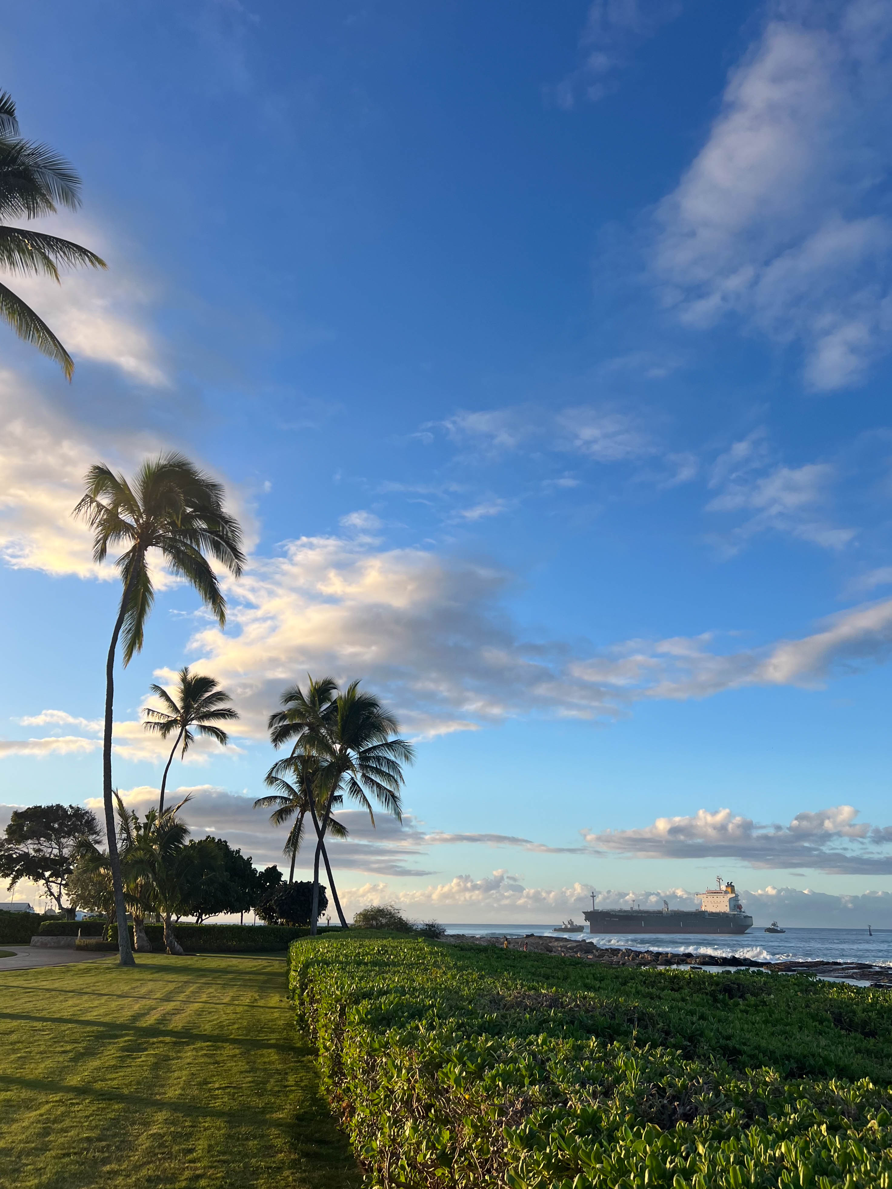https://0201.nccdn.net/1_2/000/000/191/e13/hawaii-order-43.jpg