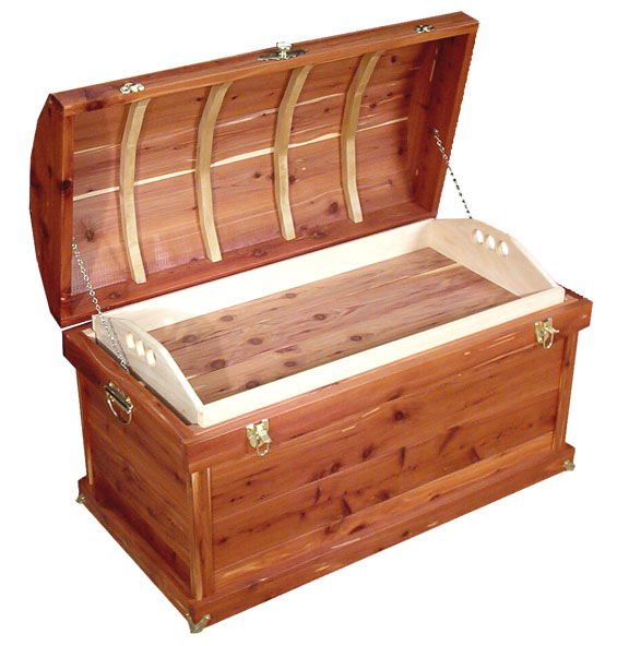 Cedar Trunk-#66