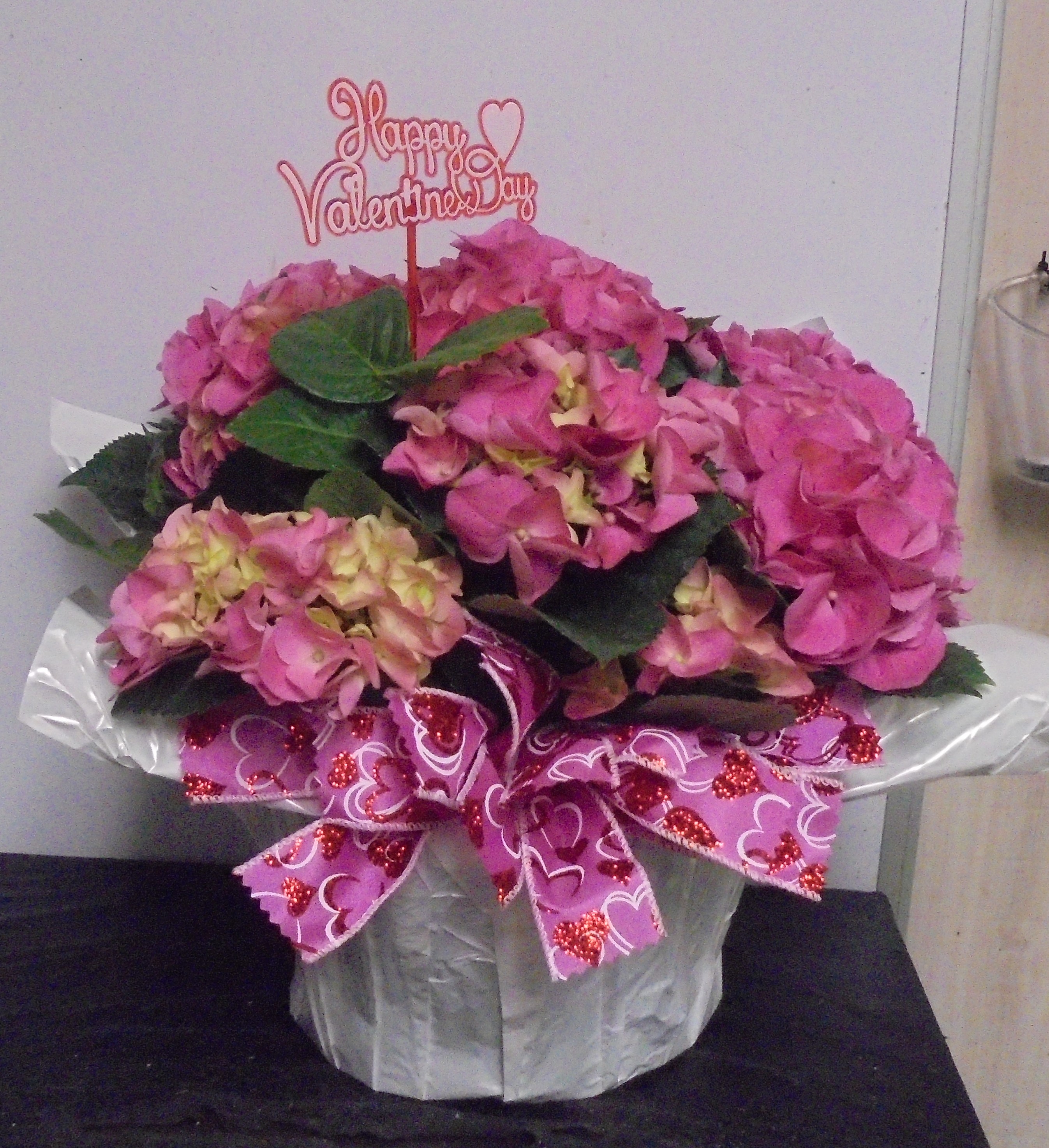 (10)  "Pink" Hydrangea Plant
$60.00
(2 Left)