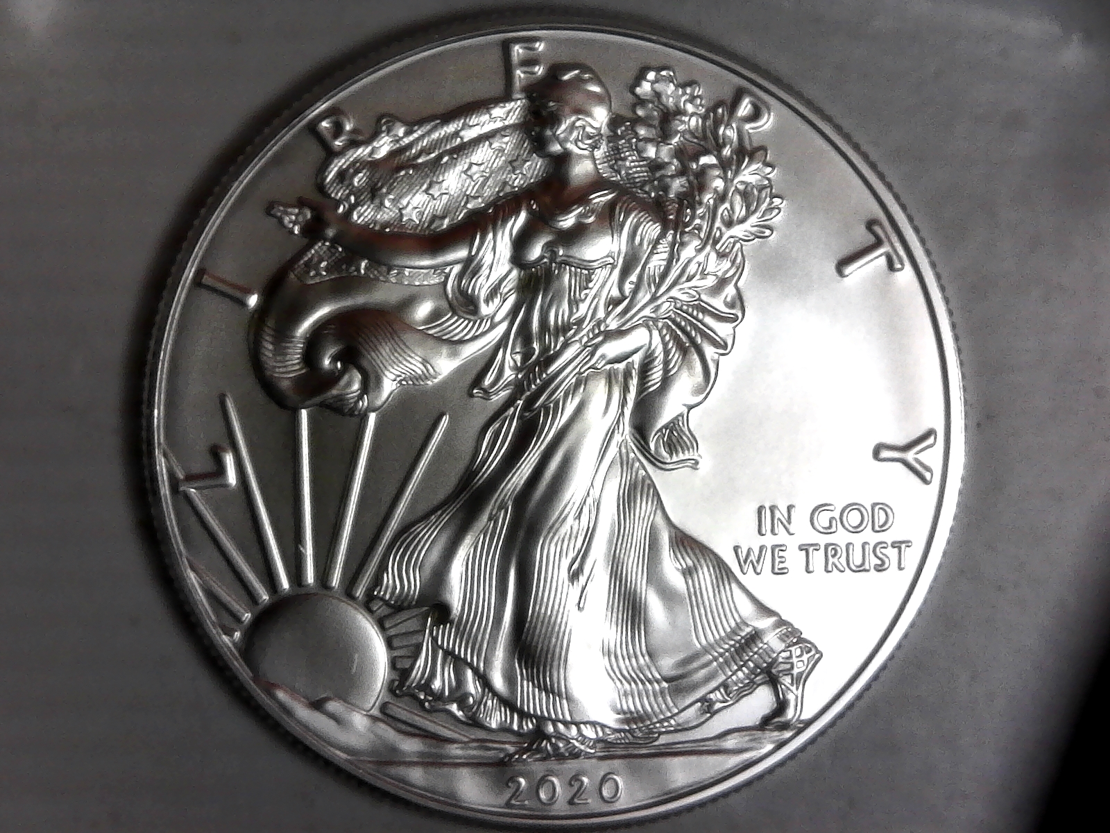 Click on American Eagle Silver Dollar for Online Auction