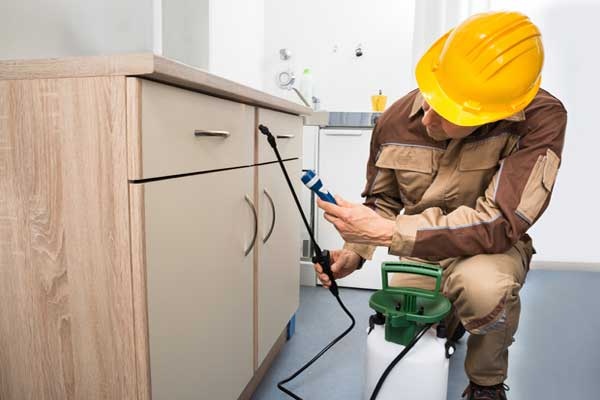 FUMIGACIONES VIT - fumigaciones