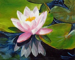Lotus
8x10
Oil on canvas
