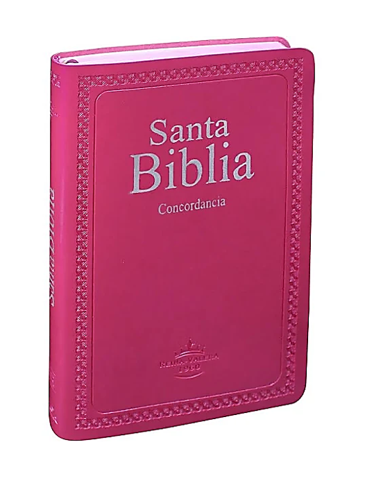 https://0201.nccdn.net/1_2/000/000/192/d82/biblia-rosa.png