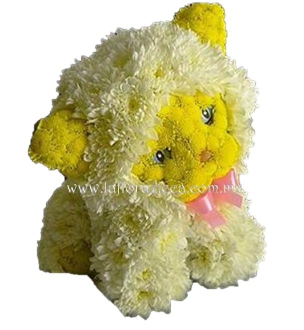 LFA-FF005
Precio $980