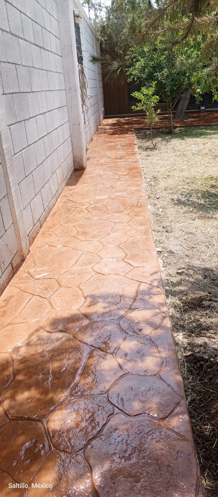 https://0201.nccdn.net/1_2/000/000/193/519/whatsapp-image-2026-05-07-at-11.32.36-am.jpeg