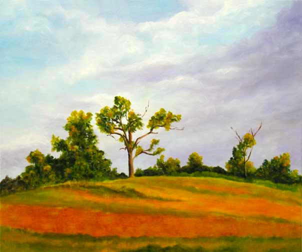Saratoga Countryside
20x24
Oil on canvas