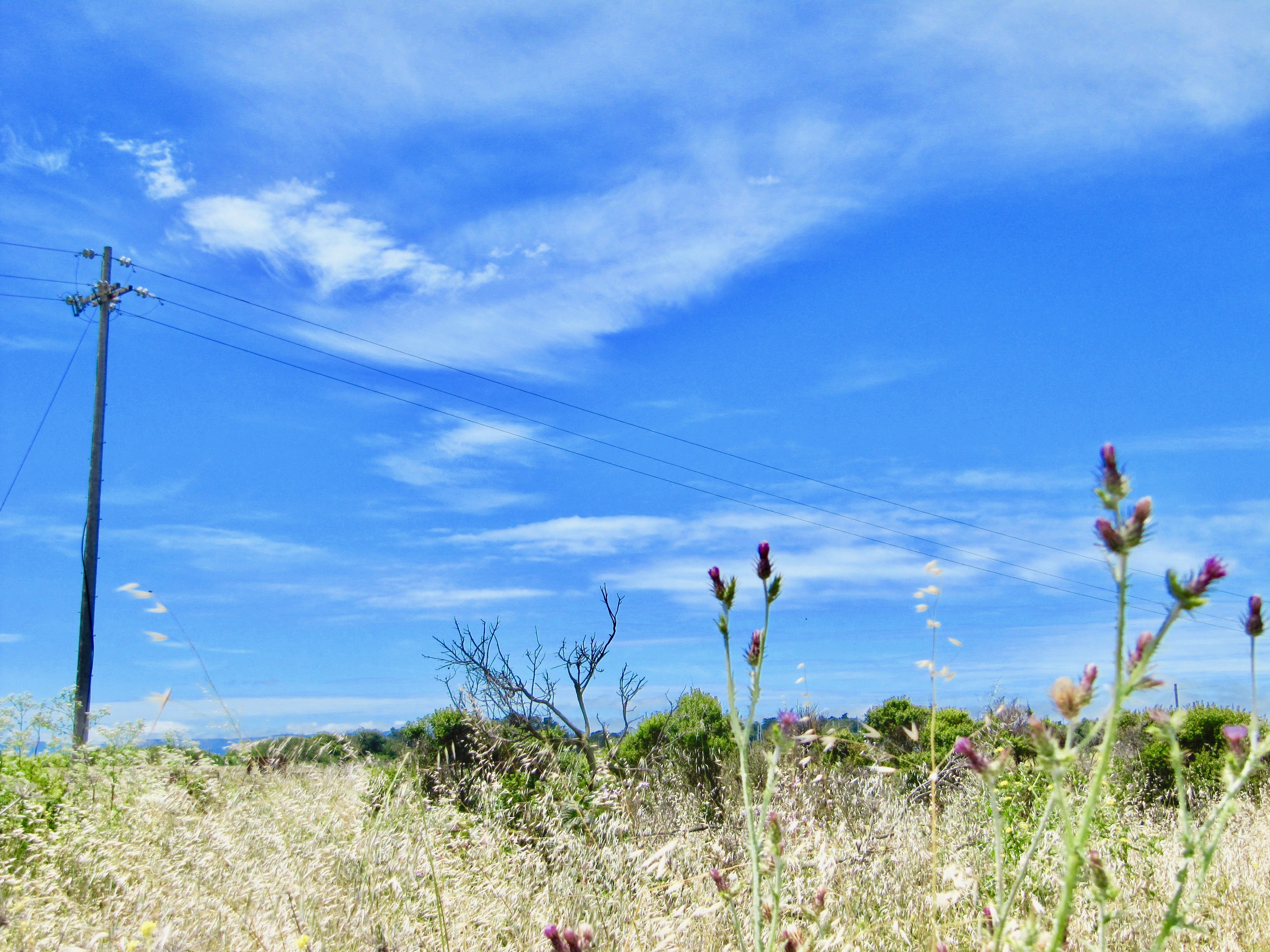 scape - series 1:4  2010