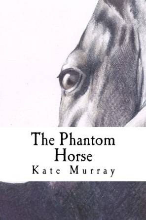 The Phantom Horse
A series of short stories and flash fiction from horror to romance. Everything needed for an adult book of fairy tales and stories. 