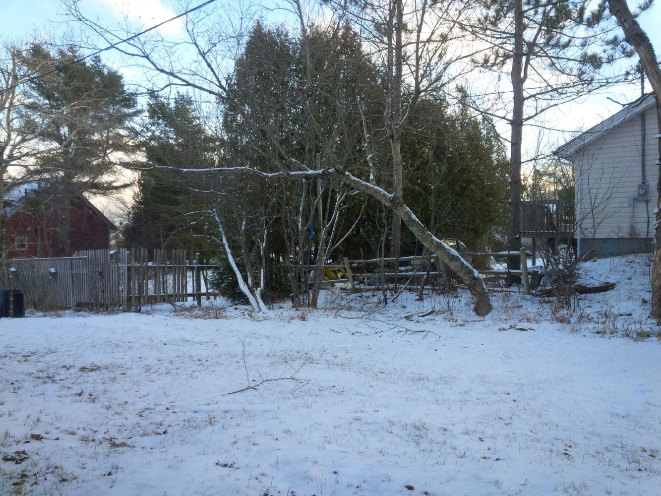 68 Woolastook #5 Yard