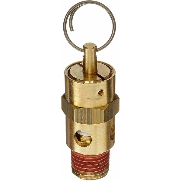 Válvula de seguridad Dixon