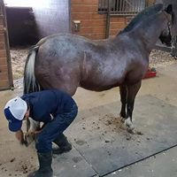 Cosmo and Hunter: Part of the program here, at Positive Way, is caring for, brushing, tacking, and untacking the ponies.