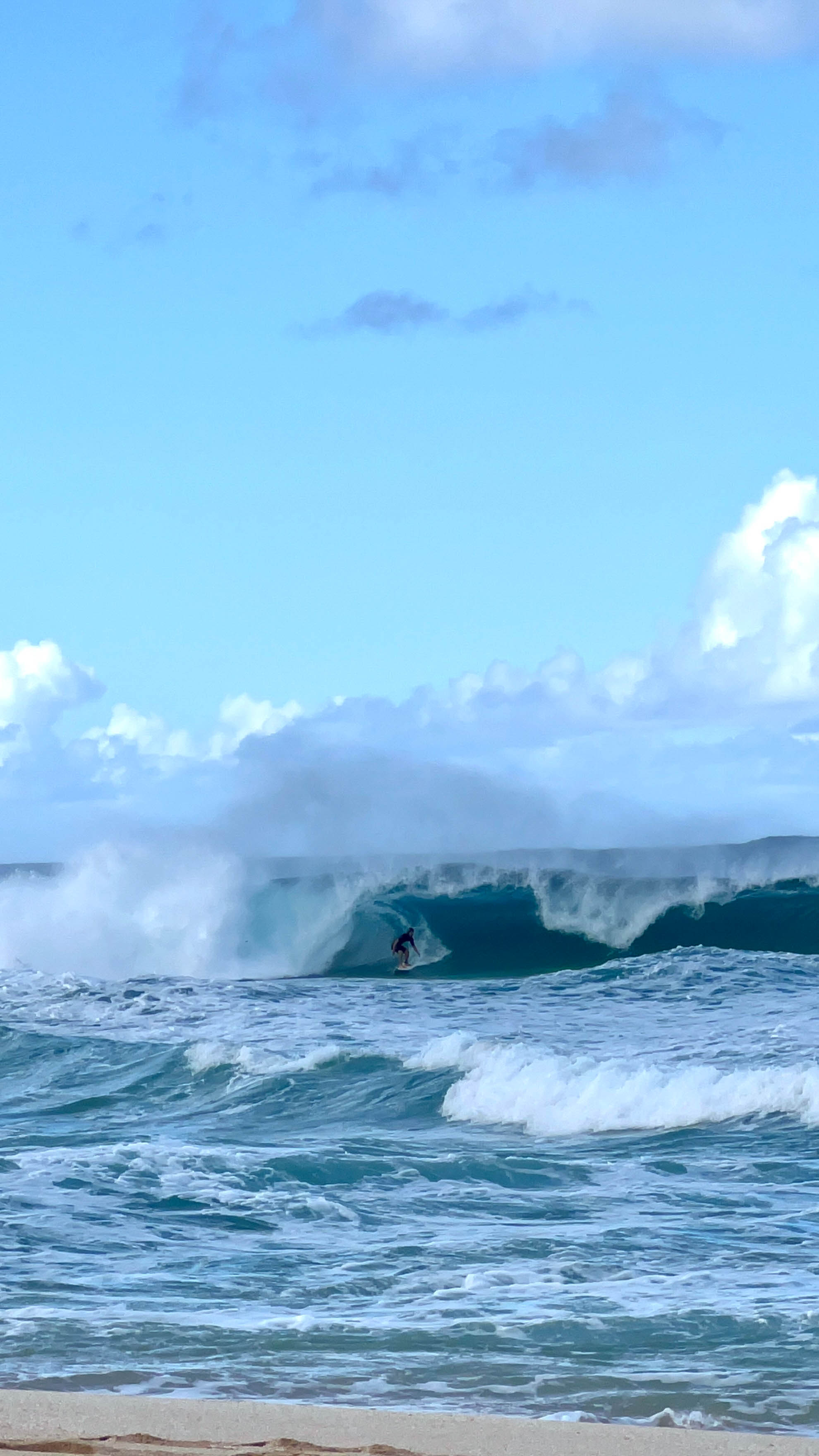 https://0201.nccdn.net/1_2/000/000/194/6f1/hawaii-order-50.jpg