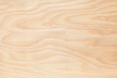 Triplays de pino, encino, maple, enchapados, decorativos, para construcción y melaminas