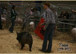 Garrett Franklin
1st in Class
2015 TN State Market Hog Show