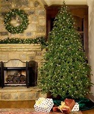 Charming suburban house with stone facade, manicured lawn, vibrant flower beds, and winding driveway on a sunny day.