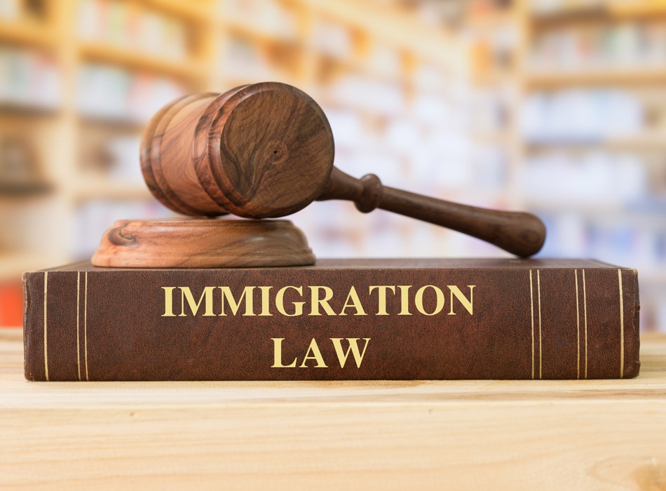 Immigration Law
