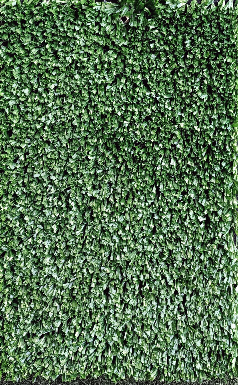 DEPORTIVO VERDE
TGS-P2-20