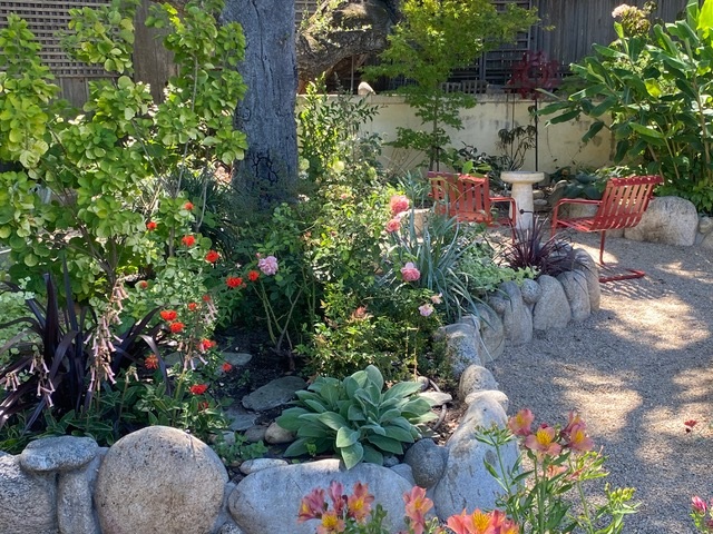 Lesley’s Own Garden 4