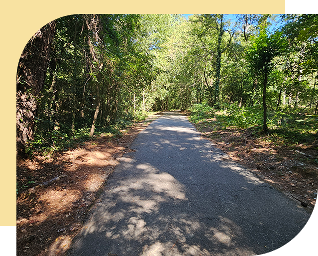 An empty road