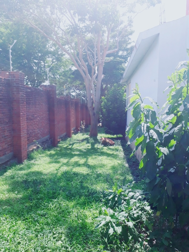 MIDRASH Alcaraces Municipio de Cuauhtémoc Colima