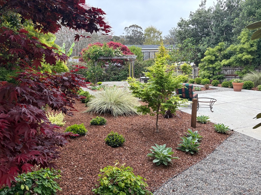 Aptos Parterre Garden 4