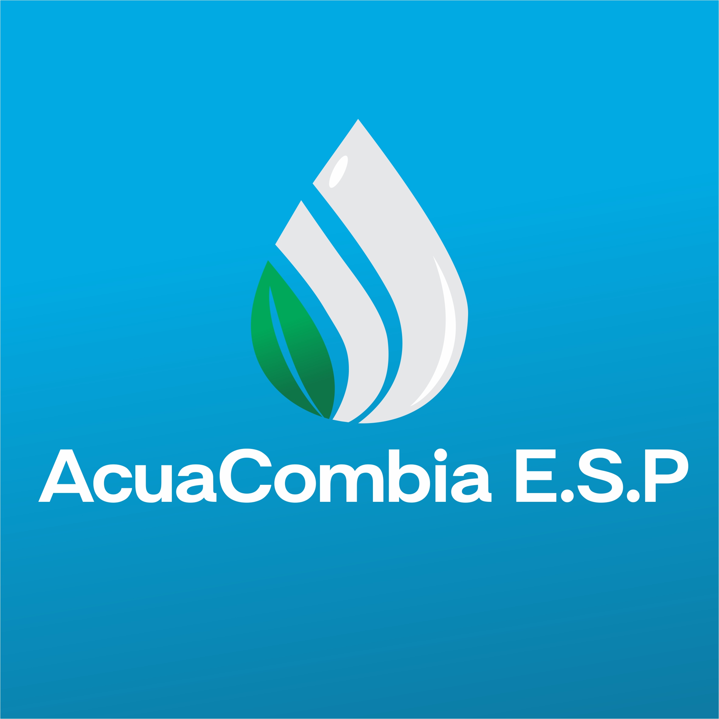 Site logo