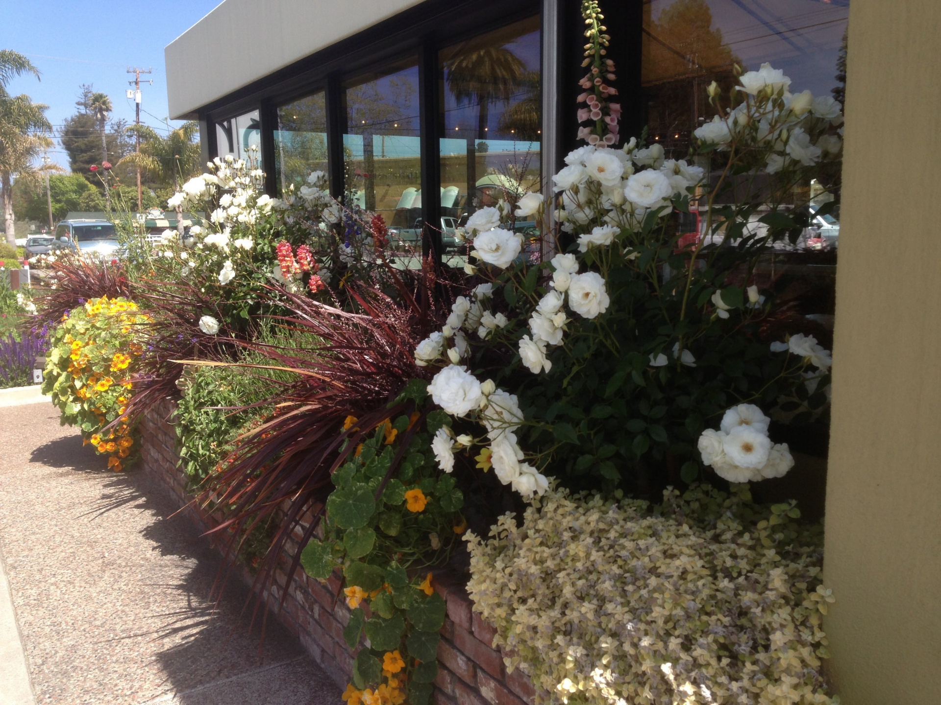 Gayle’s Bakery and Rosticceria 1