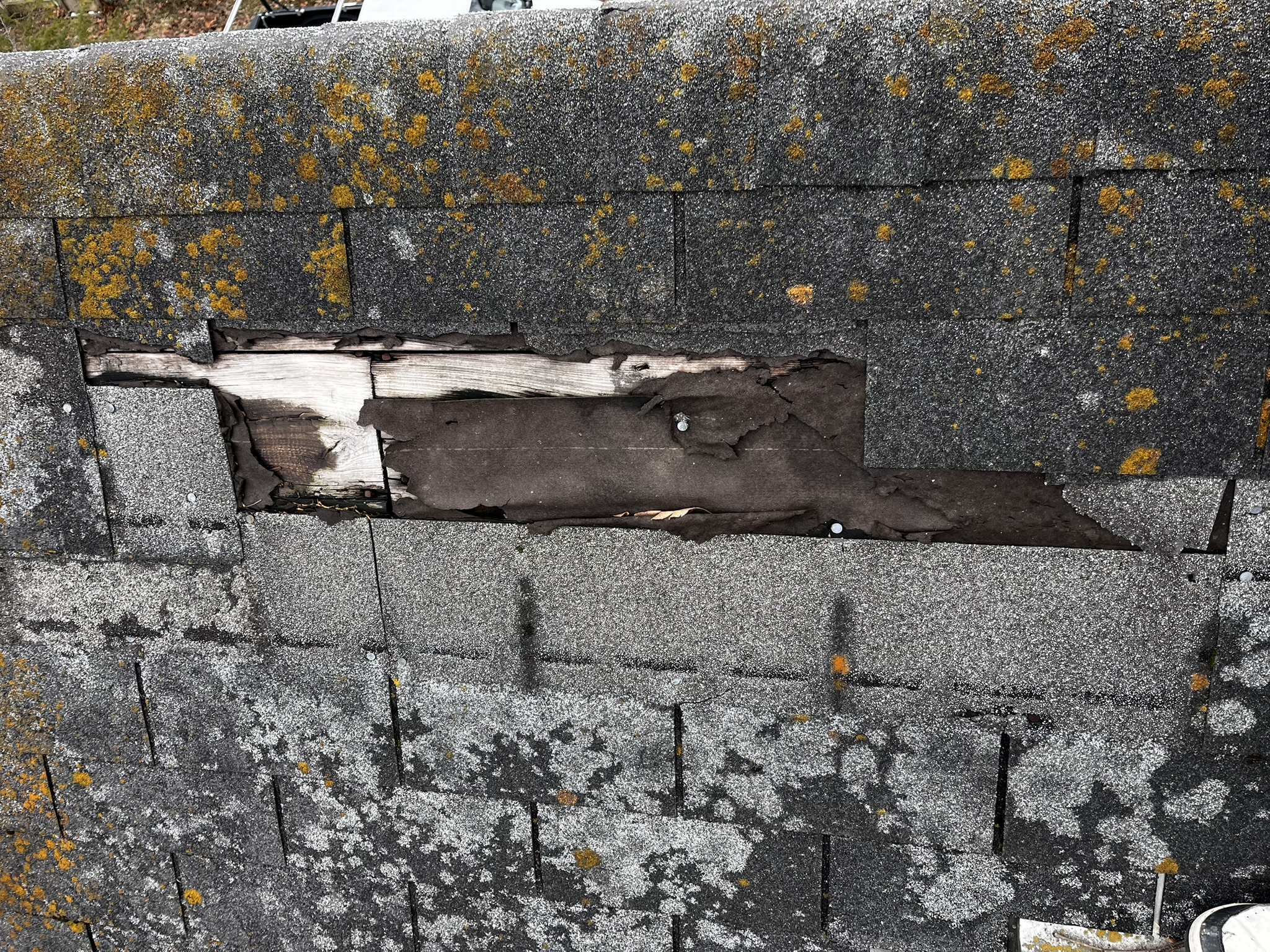 Blown off shingles (Wind damage)