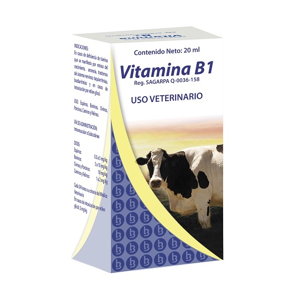 https://0201.nccdn.net/1_2/000/000/197/305/VITAMINA-B1-591x591.jpg