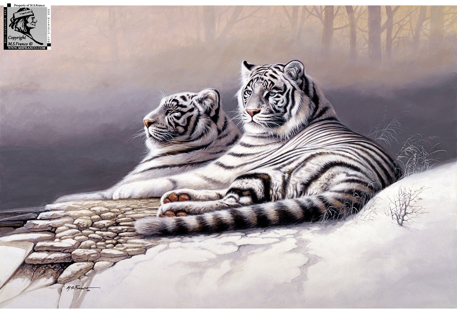 Wildlife