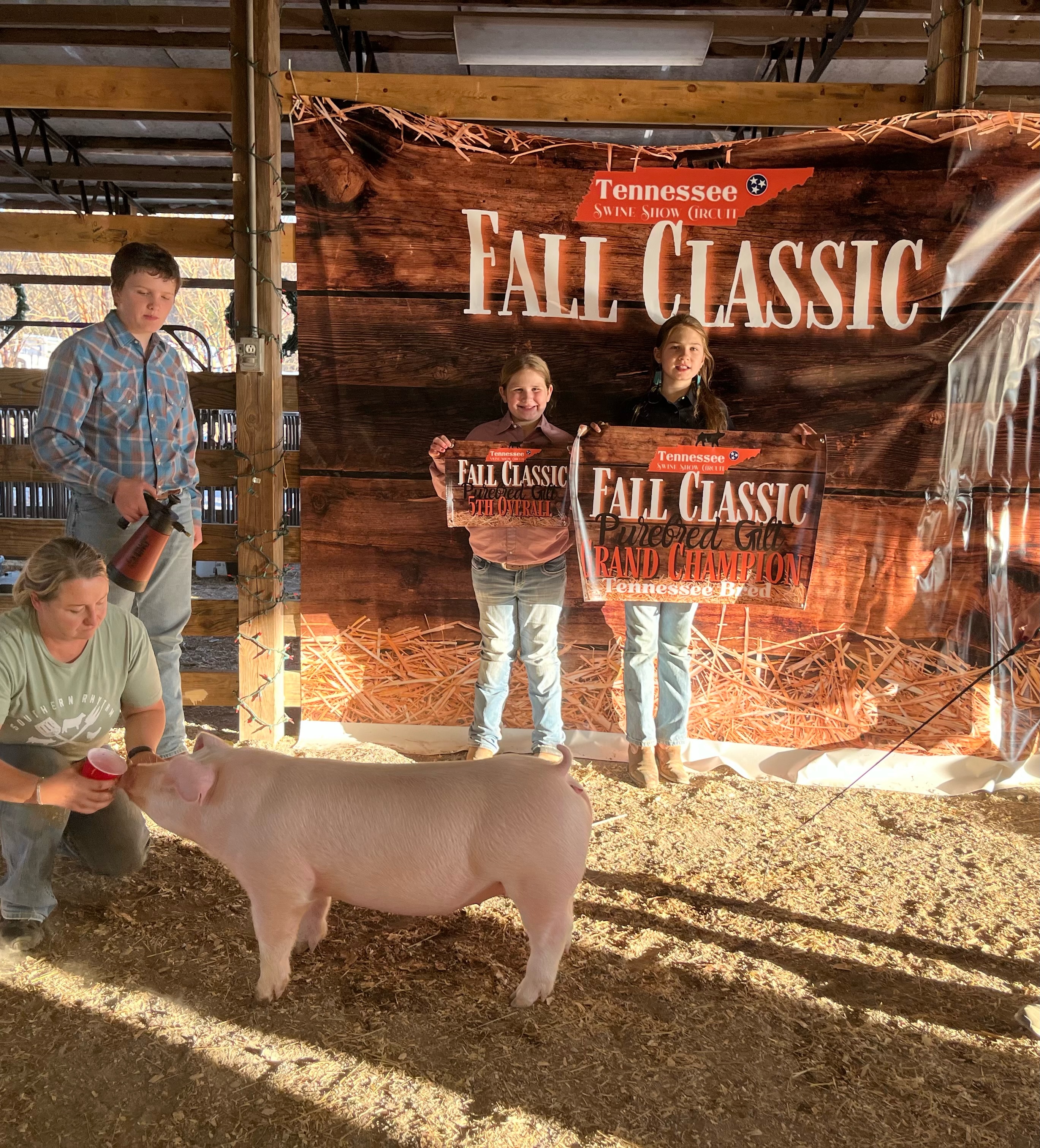 Tana Harville
TSSC Fall Classic
Champion Chester White Gilt
5th Overall Purebred Gilt
Champion TN Bred Purebred Gilt